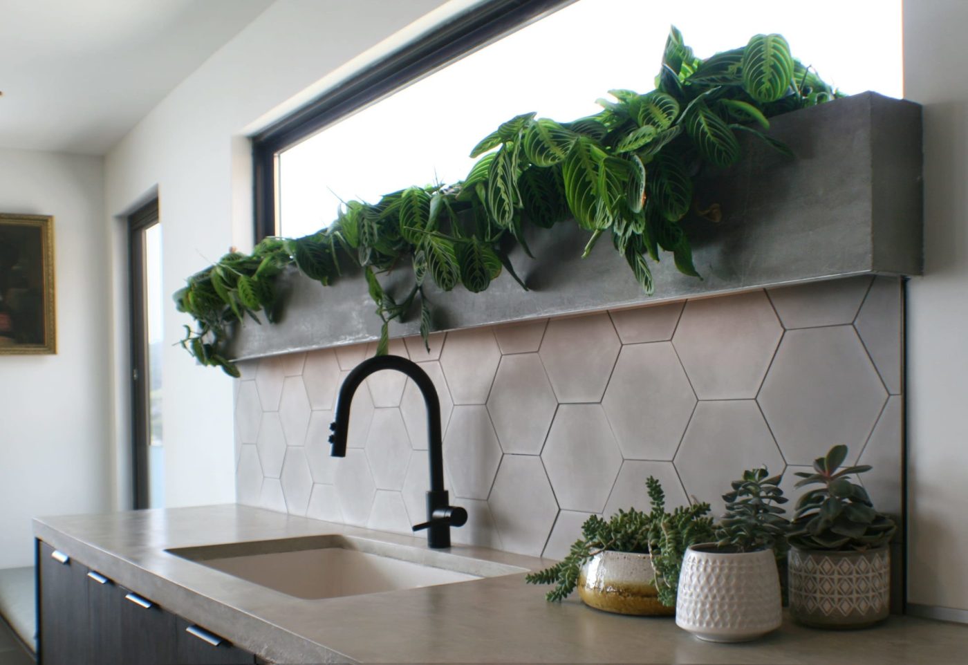 a kitchen counter with a sink and potted plants on it.