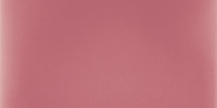 Vivid Rose 3×6 Field Tile Glossy