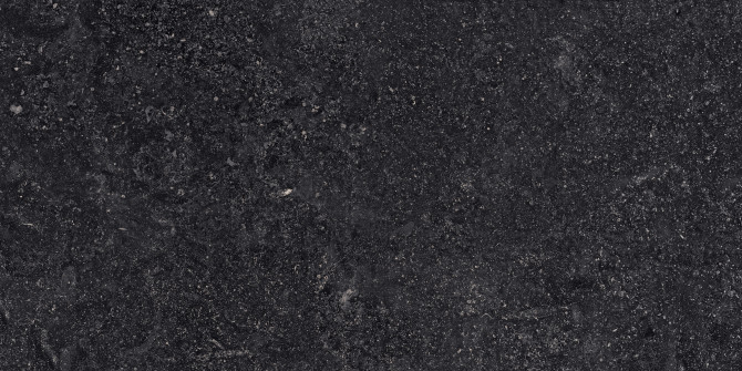Beljn Black Iron 24×48 Field Tile Rectified