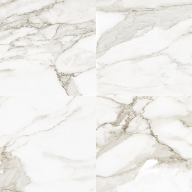 Color Variation Image