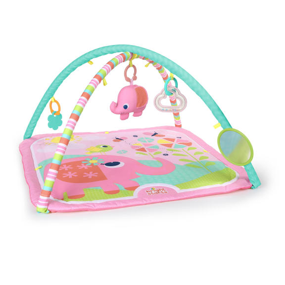 Fanciful Flowers™ Activity Gym