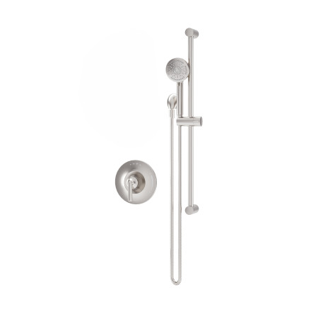 Birch Hand Shower Trim