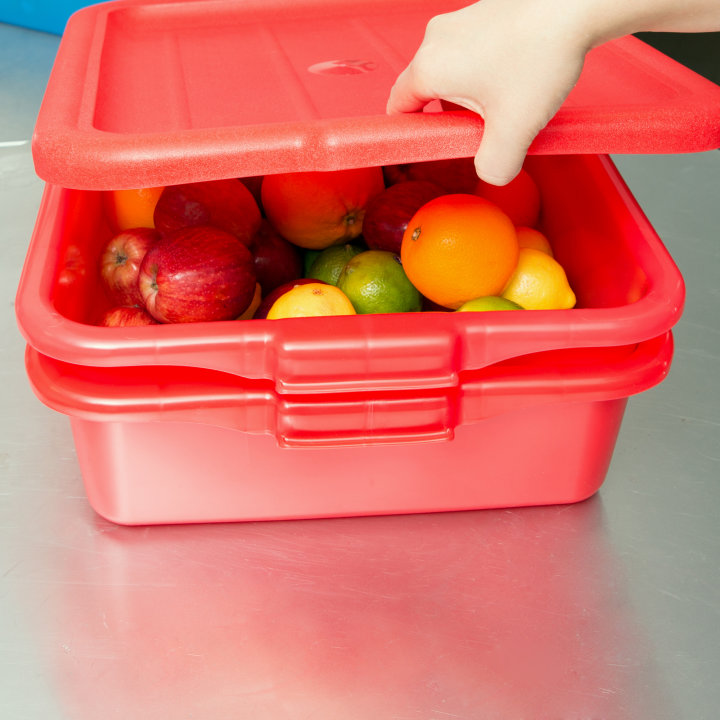 Traex® Color-Mate™ recessed food storage box lid in red