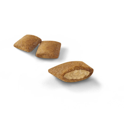 Ageing 12+ kibble