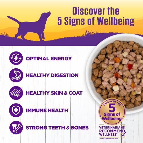 The benifts of Wellness Complete Health Stews Chicken