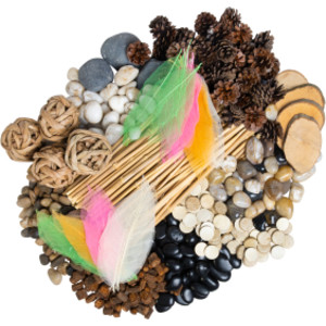 Naturals Discovery Loose Parts Set