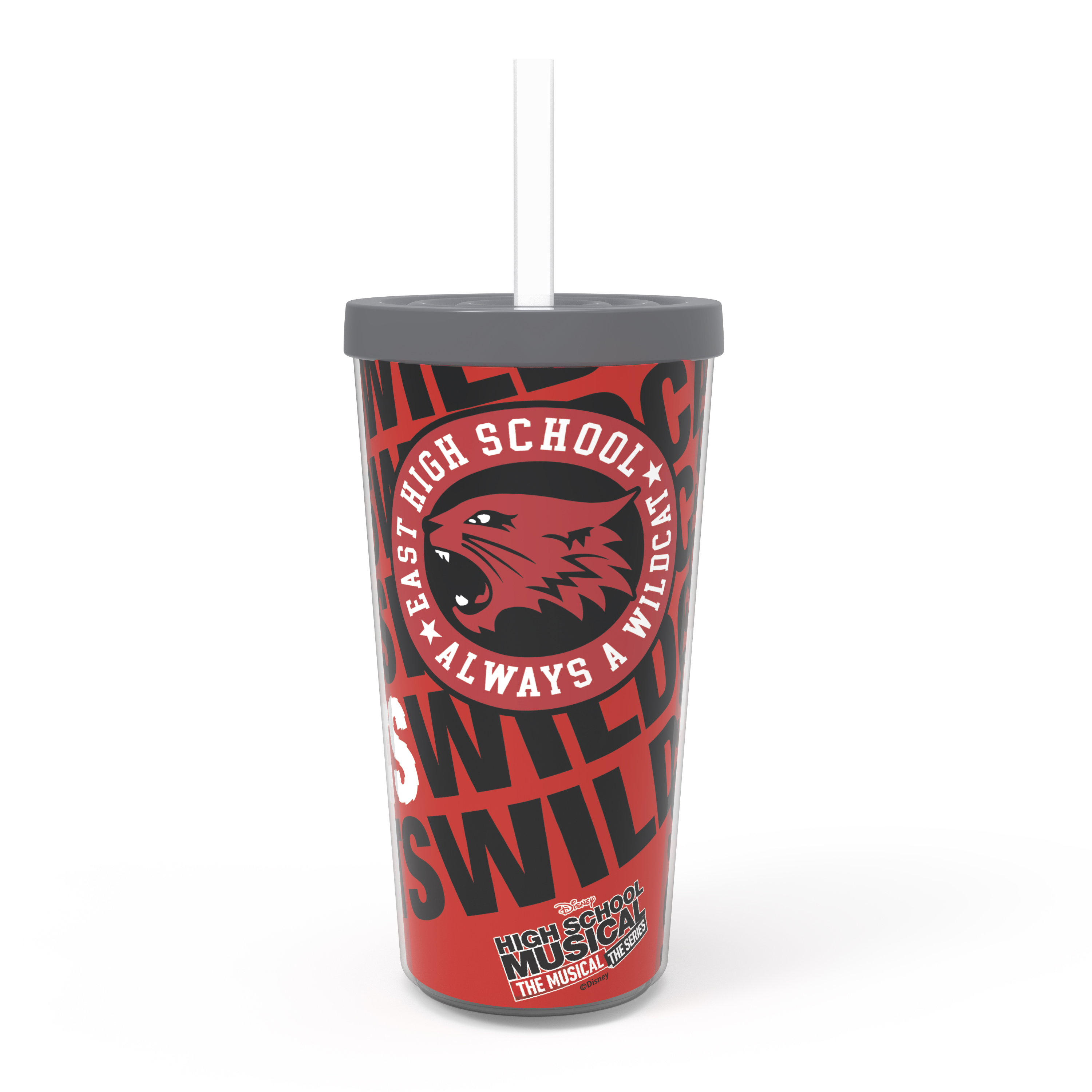 Disney 16 ounce Insulated Plastic Tumbler with Straw, High School Musical slideshow image 1 Disney 16 ounce Insulated Plastic Tumbler with Straw, High School Musical slideshow image 1