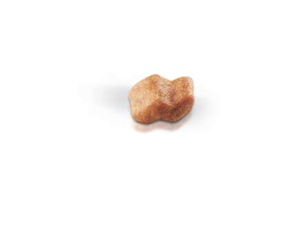 Boxer Puppy kibble