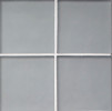 Elevations Silverlight Matte 1-1/4×5 Mini Extrados Decorative Tile