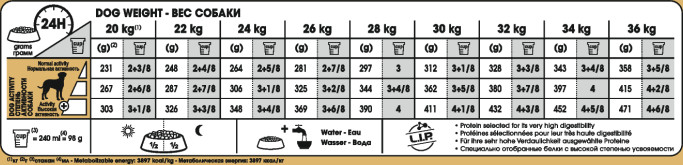 Feeding Guide