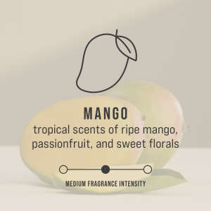 TEC402369, Rubbermaid Commercial, CirculAir 90, Air Freshener, Mango