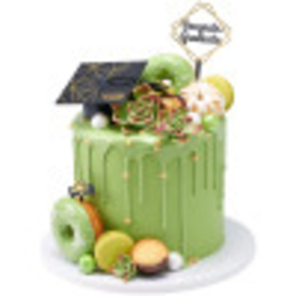 Green Gum Paste Succulents DecoPac