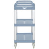 Multi-Purpose Plastic Carts