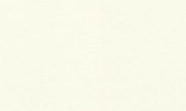 [C61684]Crescent Optic White 32x40