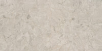 Lemnos Taupe 24×48 Field Tile Rectified