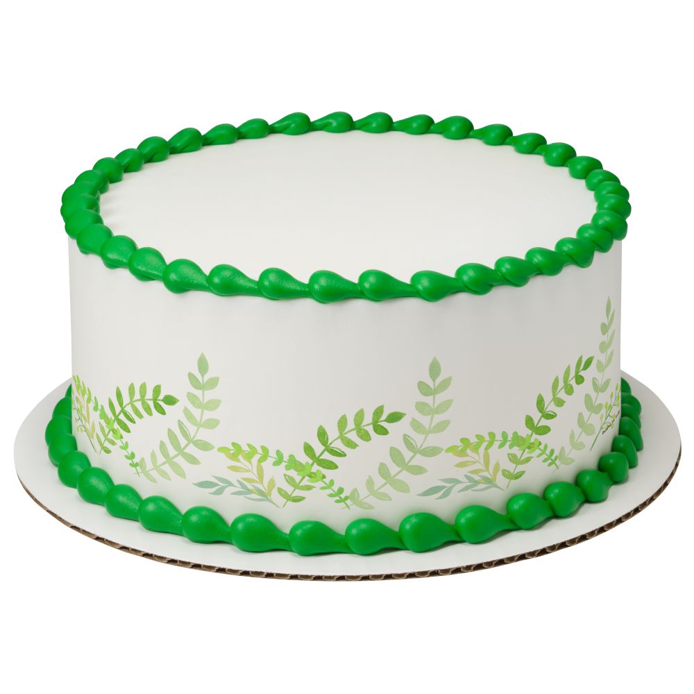 Image Cake Fern
