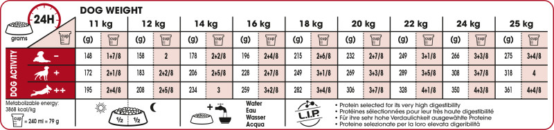 Feeding Guide