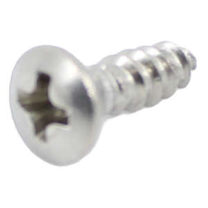 Screw Aut. 2,9X9,5 Uni 6956 Inox Tsct