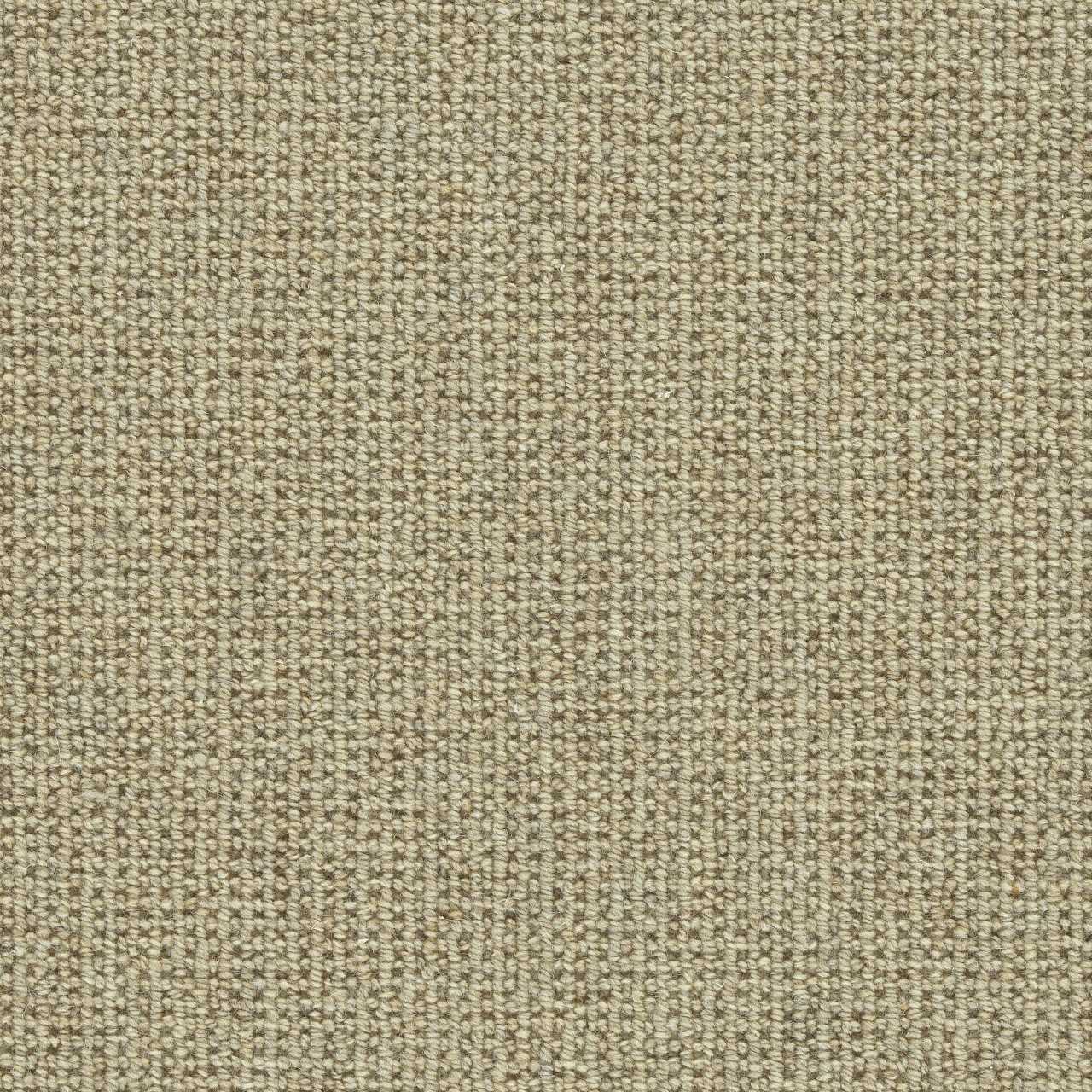 color-rug1