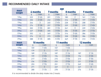 Neutered junior feeding guide