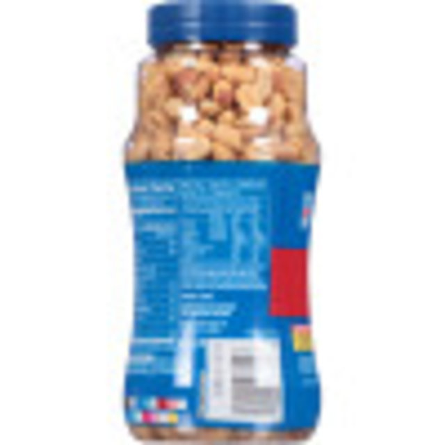 PLANTERS Dry Roasted Peanuts 16 oz Jar Planters