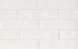 Tongue in Chic You Don’T Snow Me 2-1/2×10-1/2 Wall Tile Matte