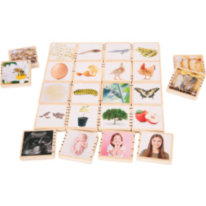 Wooden Lifecycle Tiles