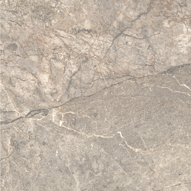 Maggiore Warm Gray 48×48 Slab Polished Rectified