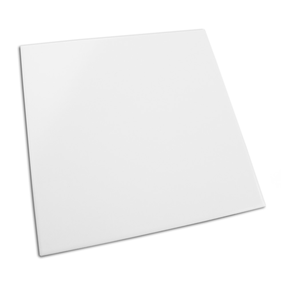 Monocolor Alaska 7-7/8 in. x 7-7/8 in. Ceramic Floor and Wall Tile