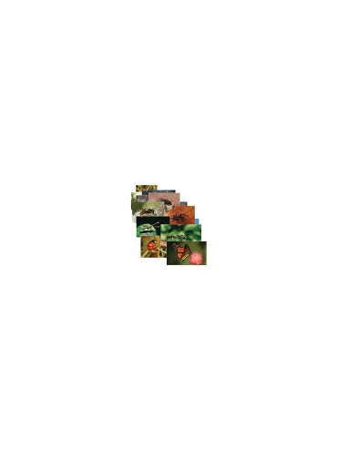 s--LTfoTMEV--/ftdplfqnvbzgrfcvpudn.jpg
