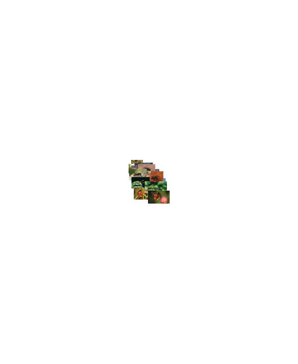s--LTfoTMEV--/ftdplfqnvbzgrfcvpudn.jpg
