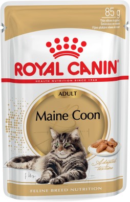 Maine Coon Adult (in gravy)