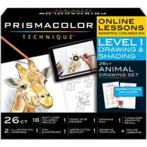 Technique, Art Supplies and Digital Art Lessons, Animal Drawings Set, Level 1, Fox Drawing Lesson, 26 Count