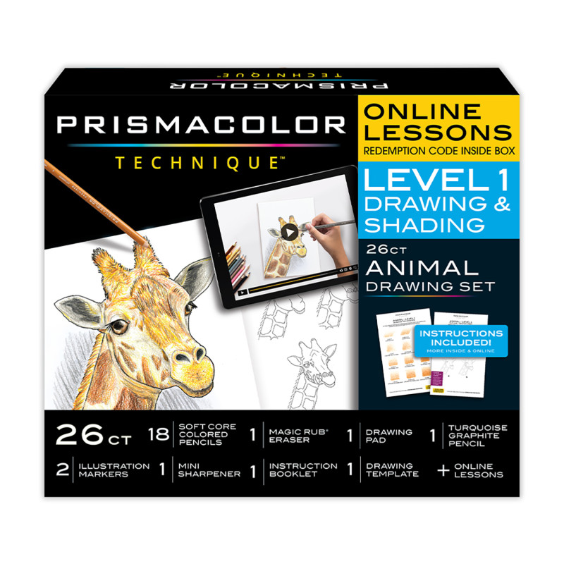Technique, Art Supplies and Digital Art Lessons, Animal Drawings Set, Level 1, Fox Drawing Lesson, 26 Count