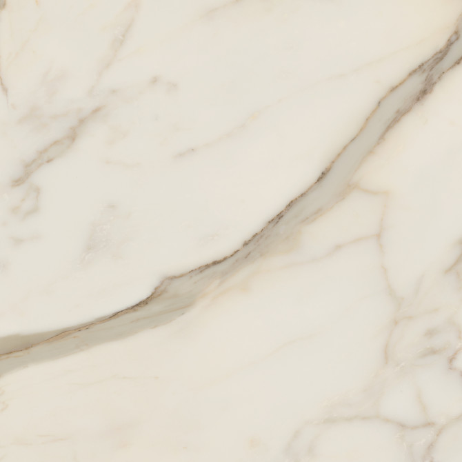 Color Variation Image