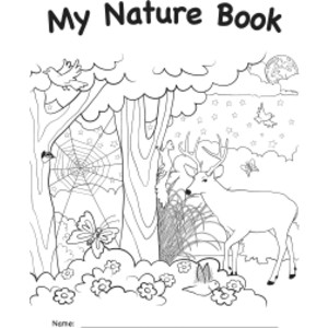 My Own Books: My Own Nature Book