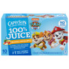Capri Sun® 100% Juice Paw Patrol Mango Pineapple Juice Blend, 10 ct Box, 6 fl oz Pouches Image