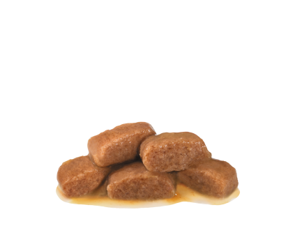 Gastrointestinal Pack kibble