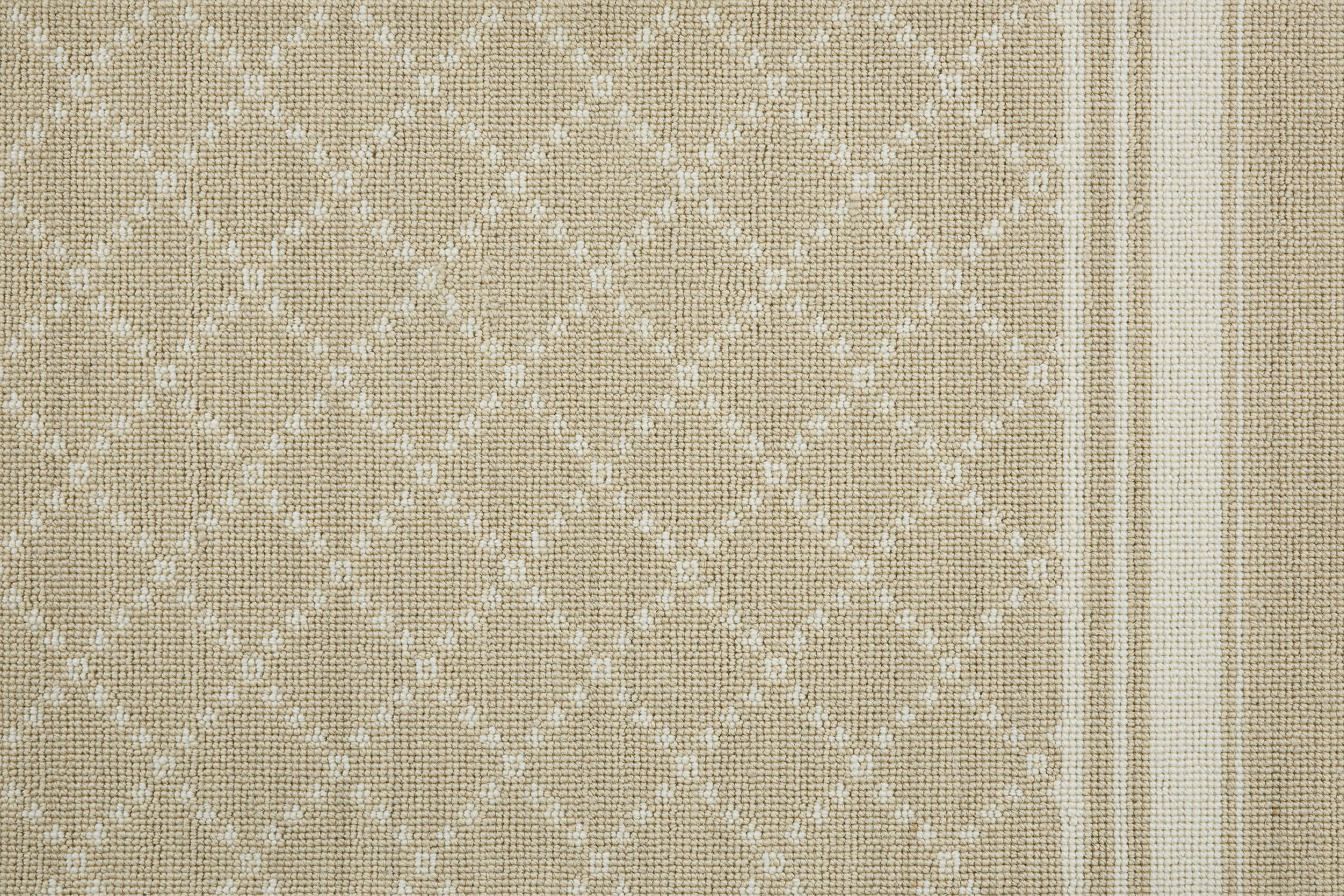 color-rug1