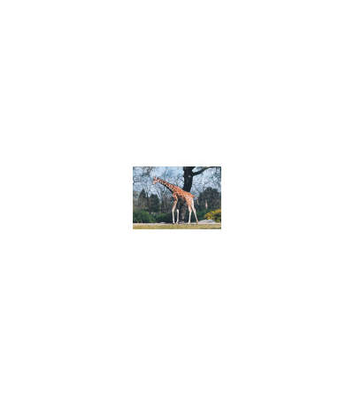 s--Ldw6cMDD--/vxz6g9lxzc9u9cwns6w3.jpg