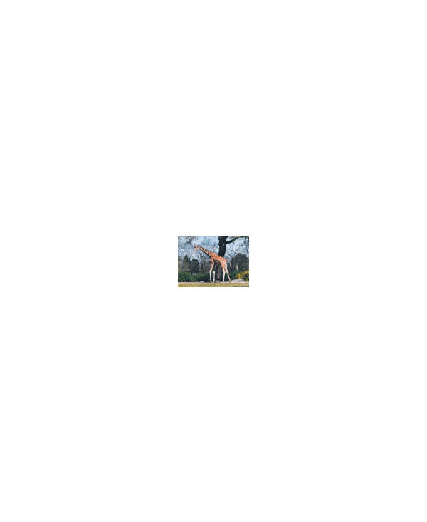 s--Ldw6cMDD--/vxz6g9lxzc9u9cwns6w3.jpg