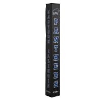 Eastern Illinois Panthers thumbnail 1
