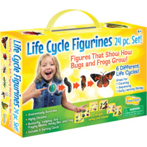 Life Cycle Figurines Set, 24 Pieces
