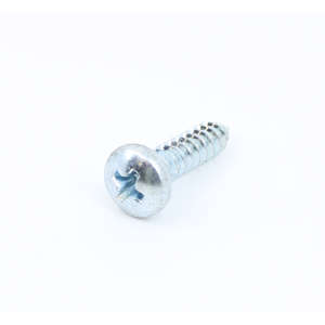 Screw