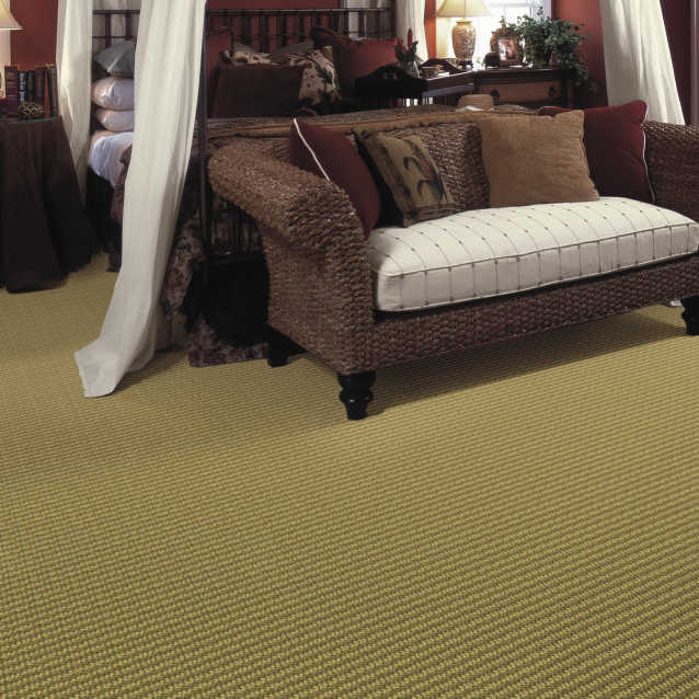 color-rug1