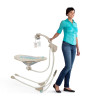 InLighten Cradling Swing™ - Zoo Zoo Zebra™