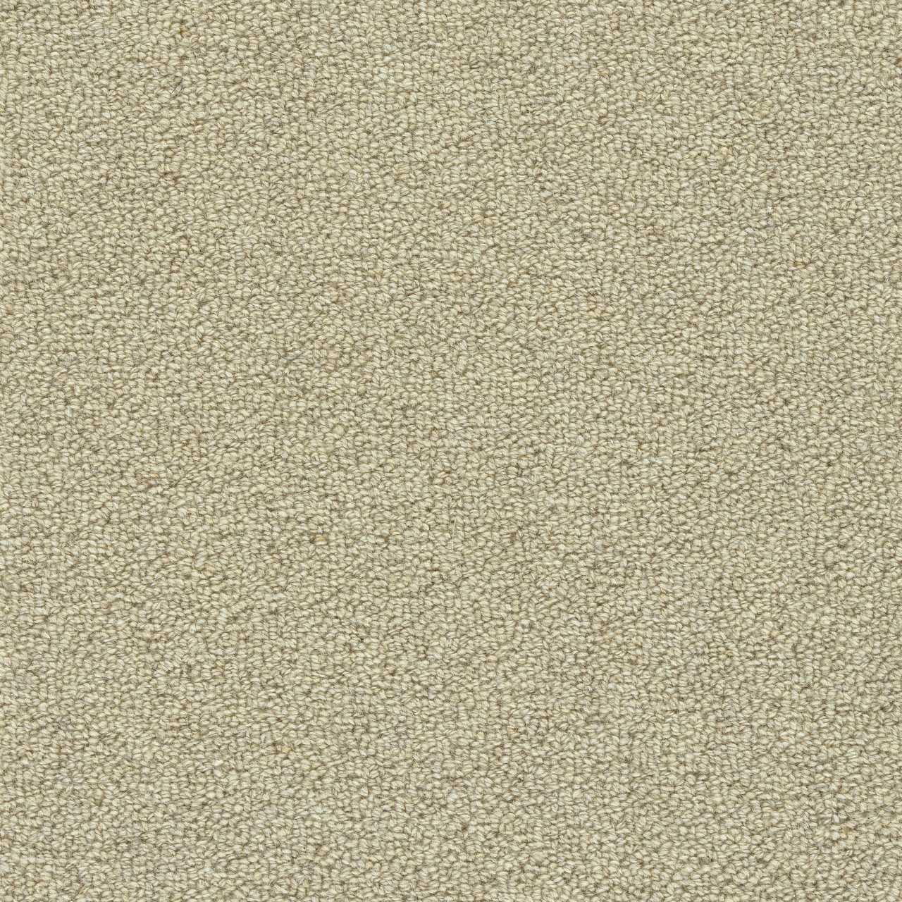 color-rug1