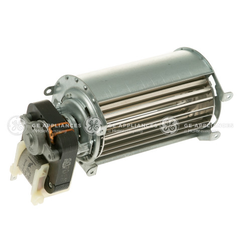 BLOWER MOTOR