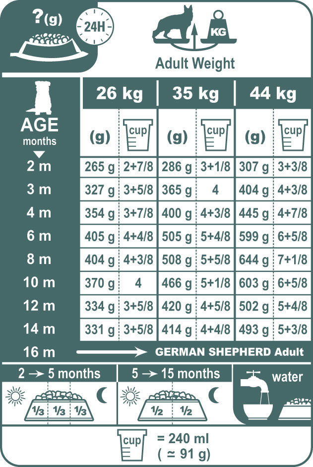 Размер сухого корма для собак. Норма сухого корма Royal Canin для щенков французского бульдога. Корм Роял Канин для щенков немецкой овчарки. Норма корма для щенка французского бульдога. Роял Канин для щенков лабрадора таблица кормления щенков.