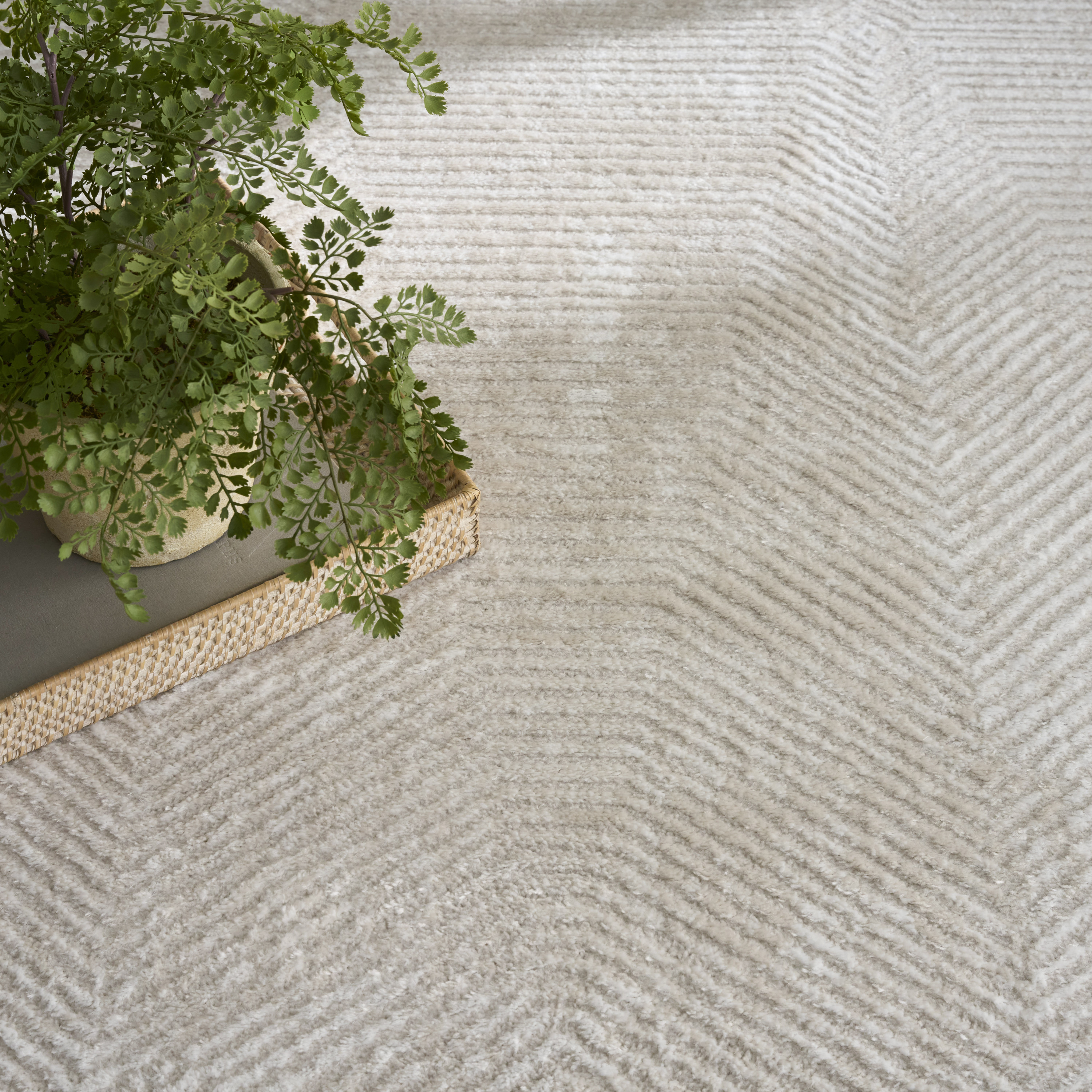 Nourison Dekor 5'3" x 7' Ivory Beige Modern Indoor Rug